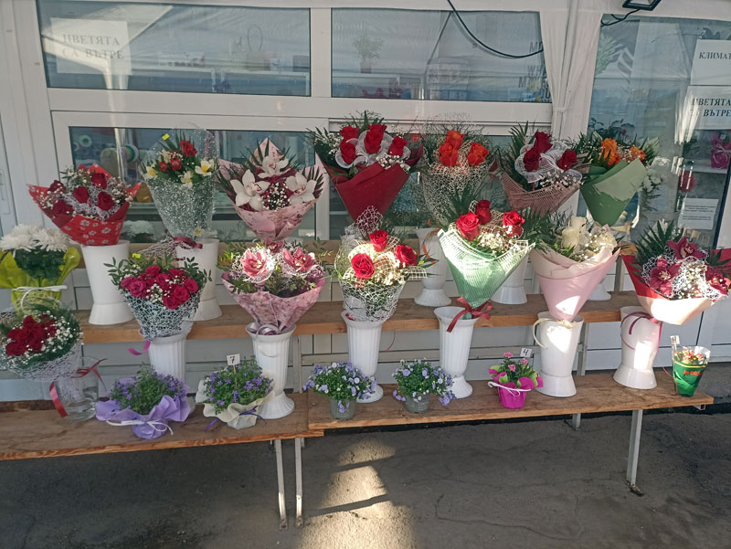 IMG 20230214 091040